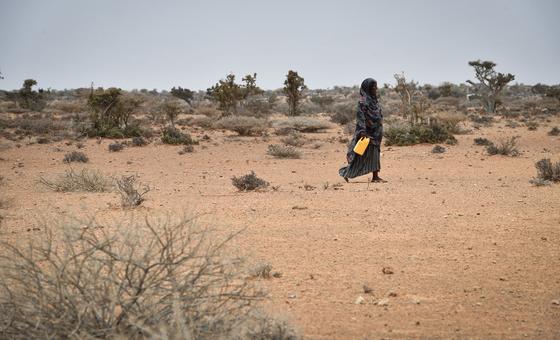Corne de l’Afrique : l’OMS préoccupée par le nombre d'épidémies et d’enfants malnutris